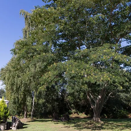 The Originals City, Le Lodge, Ondres, Bayonne Nord Hotel 3*